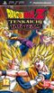 Dragon Ball Z: Tenkaichi Tag Team