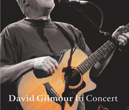 image-https://media.senscritique.com/media/000000072510/0/david_gilmour_in_concert.jpg