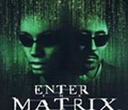 image-https://media.senscritique.com/media/000000072604/0/enter_the_matrix.jpg