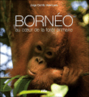 Borneo