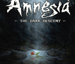 image-https://media.senscritique.com/media/000000075536/0/amnesia_the_dark_descent.png