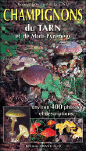 Champignons du Tarn et de Midi Pyrénées