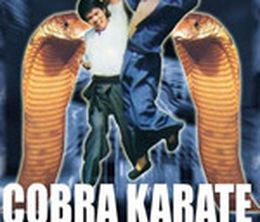 image-https://media.senscritique.com/media/000000077229/0/cobra_karate.jpg
