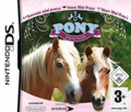 image-https://media.senscritique.com/media/000000078089/0/pony_friends_nouveaux_mini_poneys.jpg