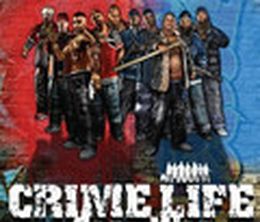 image-https://media.senscritique.com/media/000000078852/0/crime_life_gang_wars.jpg