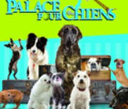 image-https://media.senscritique.com/media/000000082472/0/palace_pour_chiens.jpg