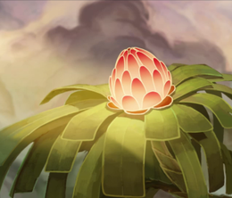image-https://media.senscritique.com/media/000000082827/0/seedling.png