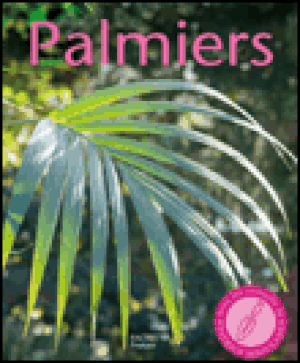 Palmiers