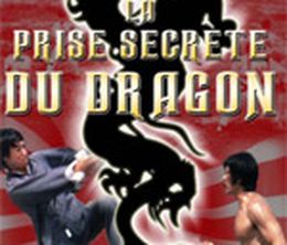 image-https://media.senscritique.com/media/000000085750/0/la_prise_secrete_du_dragon.jpg