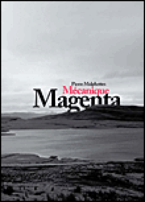 Pierre Malphettes : Mécanique Magenta