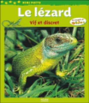 Le lézard : vif et discret