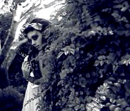 image-https://media.senscritique.com/media/000000088203/0/alice_s_delusion_in_wonderland.png