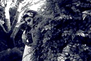 Alice's Delusion in Wonderland