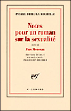 Notes pour un roman sur la sexualité