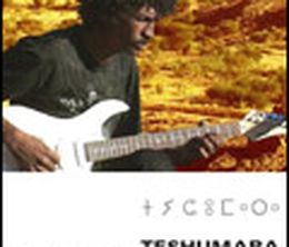 image-https://media.senscritique.com/media/000000088865/0/teshumara_les_guitares_de_la_rebellion_touareg.jpg