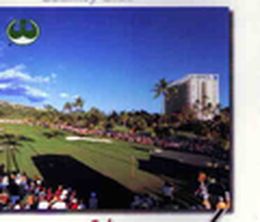 image-https://media.senscritique.com/media/000000093622/0/waialae_country_club.jpg