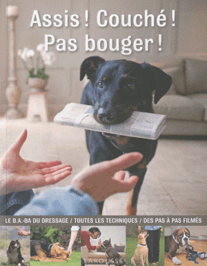 Assis! Couché! Pas bouger!