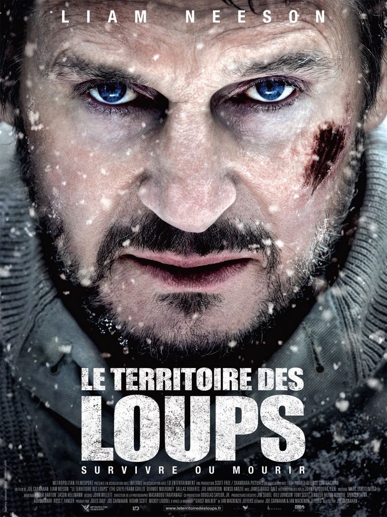 JE VIENS DE MATER UN FILM ! - Page 21 Le_Territoire_des_loups