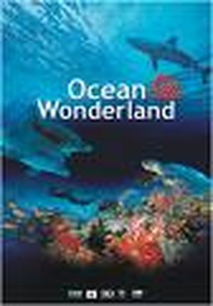 Ocean wonderland 3d