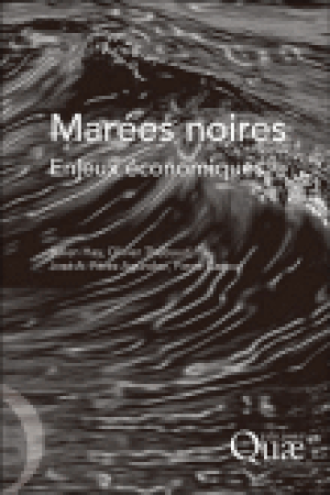 Marées noires, enjeux économiques