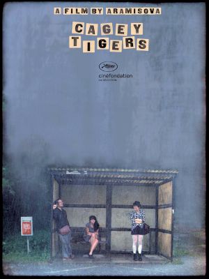 Cagey Tigers