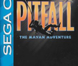 image-https://media.senscritique.com/media/000000103987/0/pitfall_the_mayan_adventure.jpg