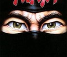 image-https://media.senscritique.com/media/000000109300/0/the_last_ninja.jpg