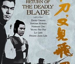 image-https://media.senscritique.com/media/000000117712/0/return_of_the_deadly_blade.jpg