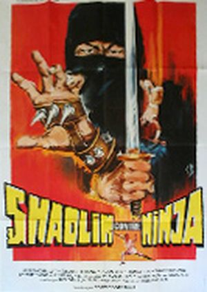 Shaolin contre Ninja