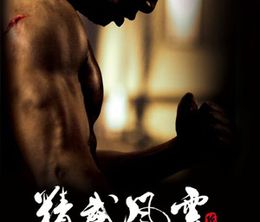image-https://media.senscritique.com/media/000000119242/0/legend_of_the_fist_the_return_of_chen_zhen.jpg