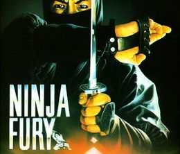image-https://media.senscritique.com/media/000000120163/0/ninja_fury.jpg