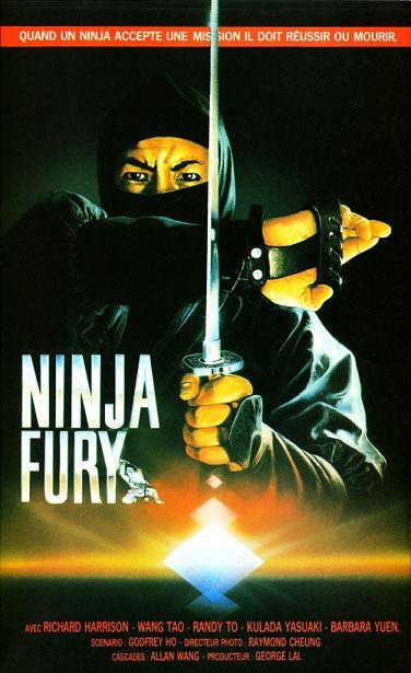Les 3 Ninjas Se Déchaînent Film Complet En Francais Ninja Fury - Film (1984) - SensCritique