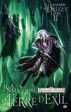 Terre d'exil, La Légende de Drizzt, Tome 2