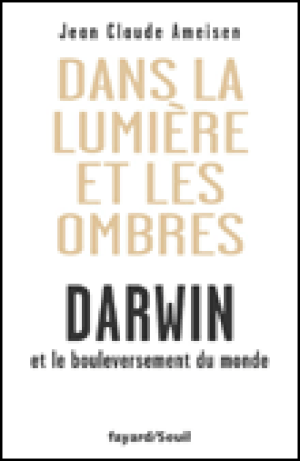 Dans la lumière et les ombres