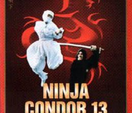 image-https://media.senscritique.com/media/000000121533/0/ninja_condor_13.jpg