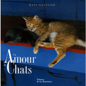 Un amour de chats