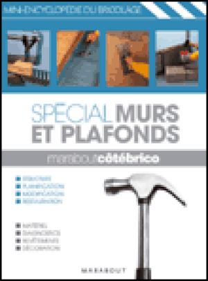 Spécial murs et plafonds