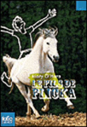 Le Fils de Flicka