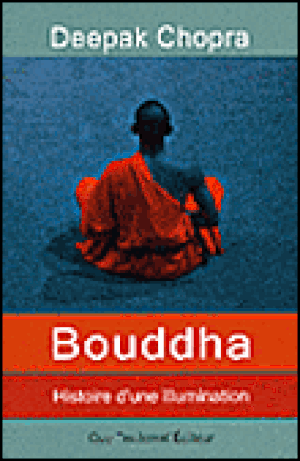 Bouddha, histoire d'une illumination