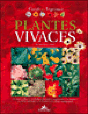 Guide des plantes vivaces