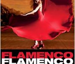 image-https://media.senscritique.com/media/000000128812/0/flamenco_flamenco.jpg