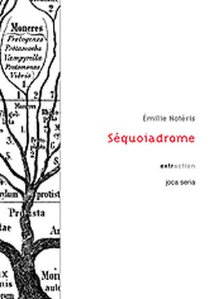 Séquoiadrome