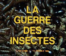 image-https://media.senscritique.com/media/000000131104/0/la_guerre_des_insectes.jpg