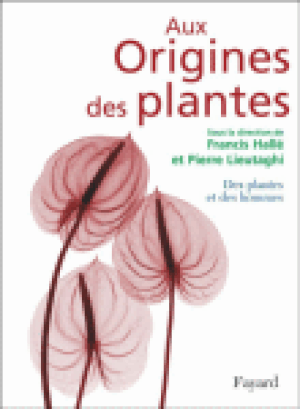 Aux origines des plantes, T2