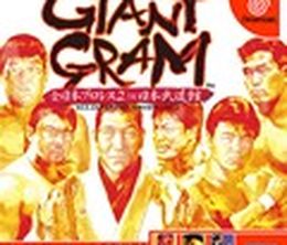 image-https://media.senscritique.com/media/000000132123/0/giant_gram_all_japan_pro_wrestling_2.jpg