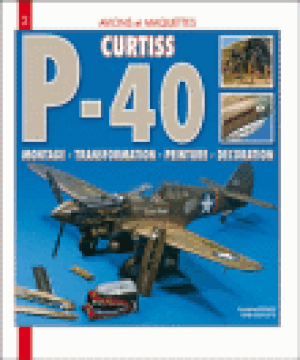 Le Curtiss P-40