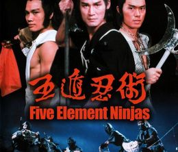 image-https://media.senscritique.com/media/000000133905/0/five_element_ninjas.jpg