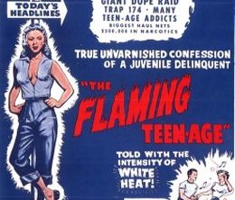 image-https://media.senscritique.com/media/000000135929/0/the_flaming_teenage.jpg