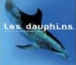image-https://media.senscritique.com/media/000000138685/0/les_dauphins.jpg
