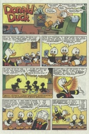 Chat sœur deux trop fée - Donald Duck